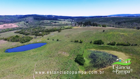 VAI ATE MANGUEIRA OVELHAS.00_01_34_04.Quadro024_428ef49c31630071413f2417f151c1403e19fdda.jpg